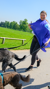 Dog Jog Challenge