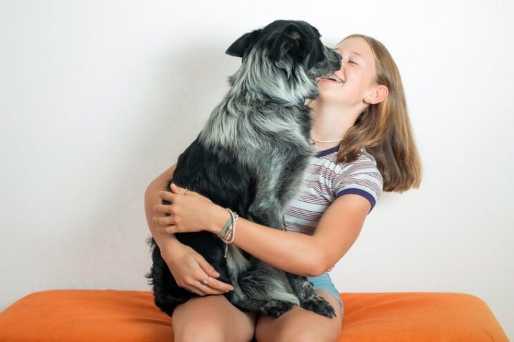 Young girl smiling as she cuddles with black and grey dog.