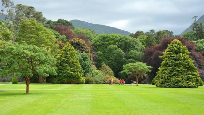 A spacious, well-kept garden with mature trees and people walking in the distance.