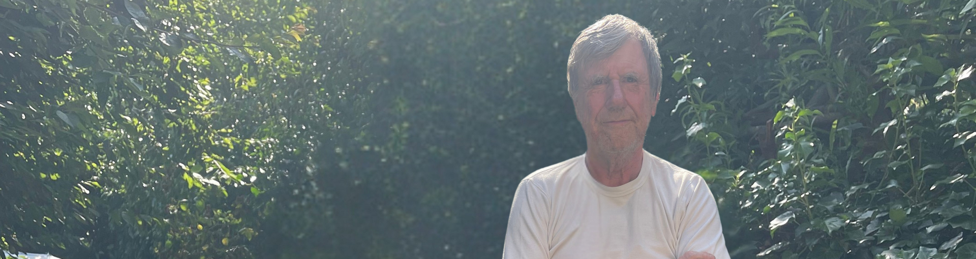 An older man stands with arms folded among lush green hedgerows in a sunlit garden, looking quietly and directly at the camera.