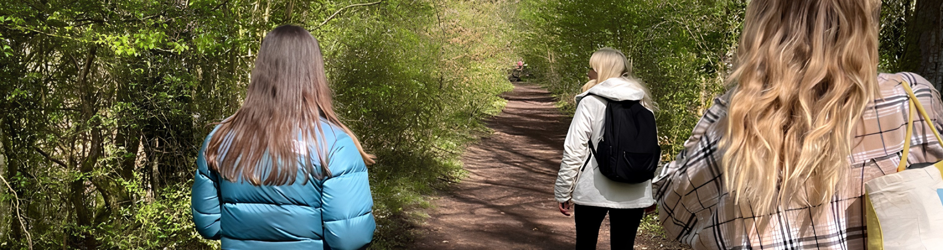 Three women walk together along a sun-dappled woodland trail, seen from behind, surrounded by fresh green foliage.