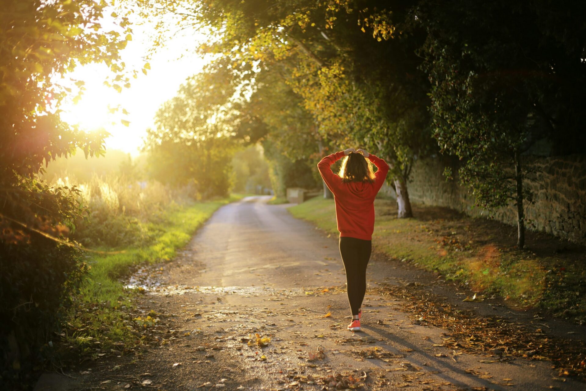 The sun shining on a person walking along a path, with trees on either side.